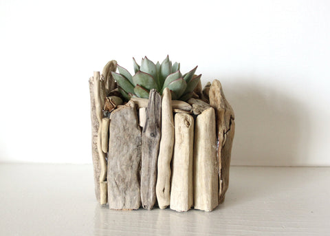 Driftwood Indoor Planter