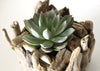 Driftwood Indoor Planter